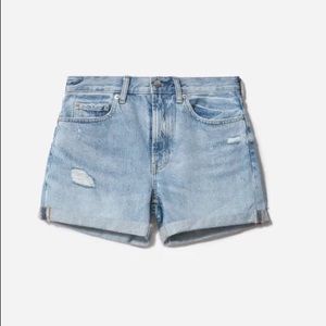 Everlane Denim Shorts - Distressed